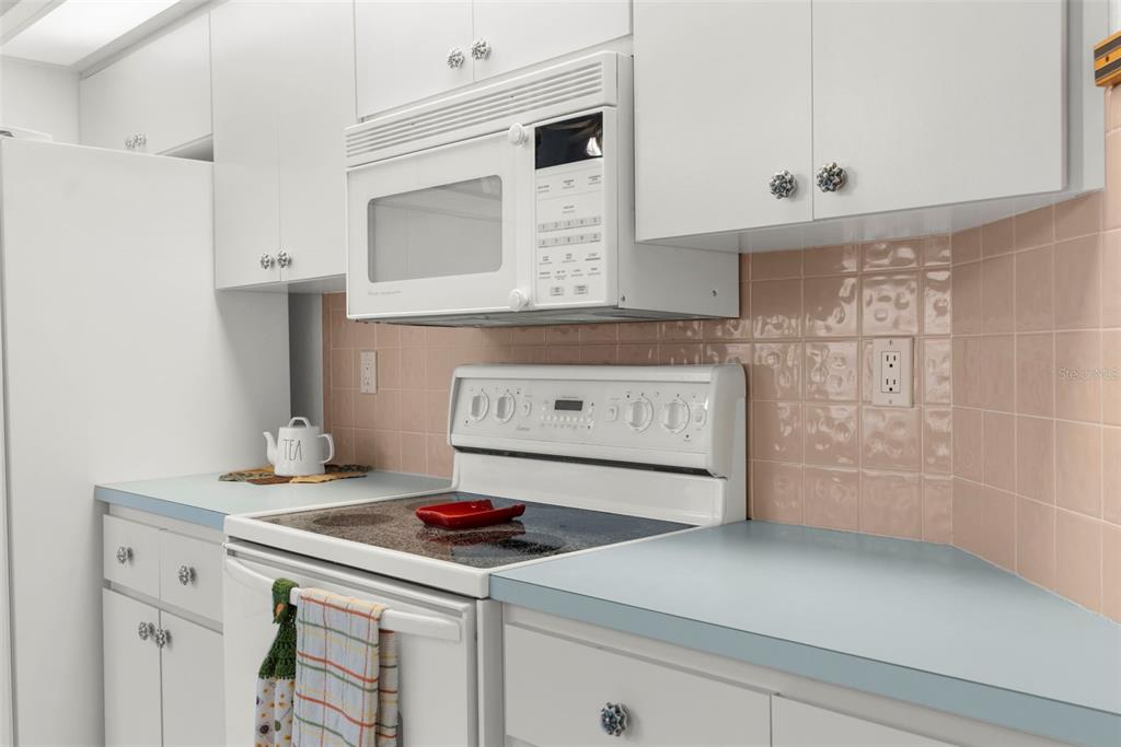 9426 Mississippi Run Weeki Wachee, FL 34613 - Photo 9 of 31 a kitchen with a stove and a microwave