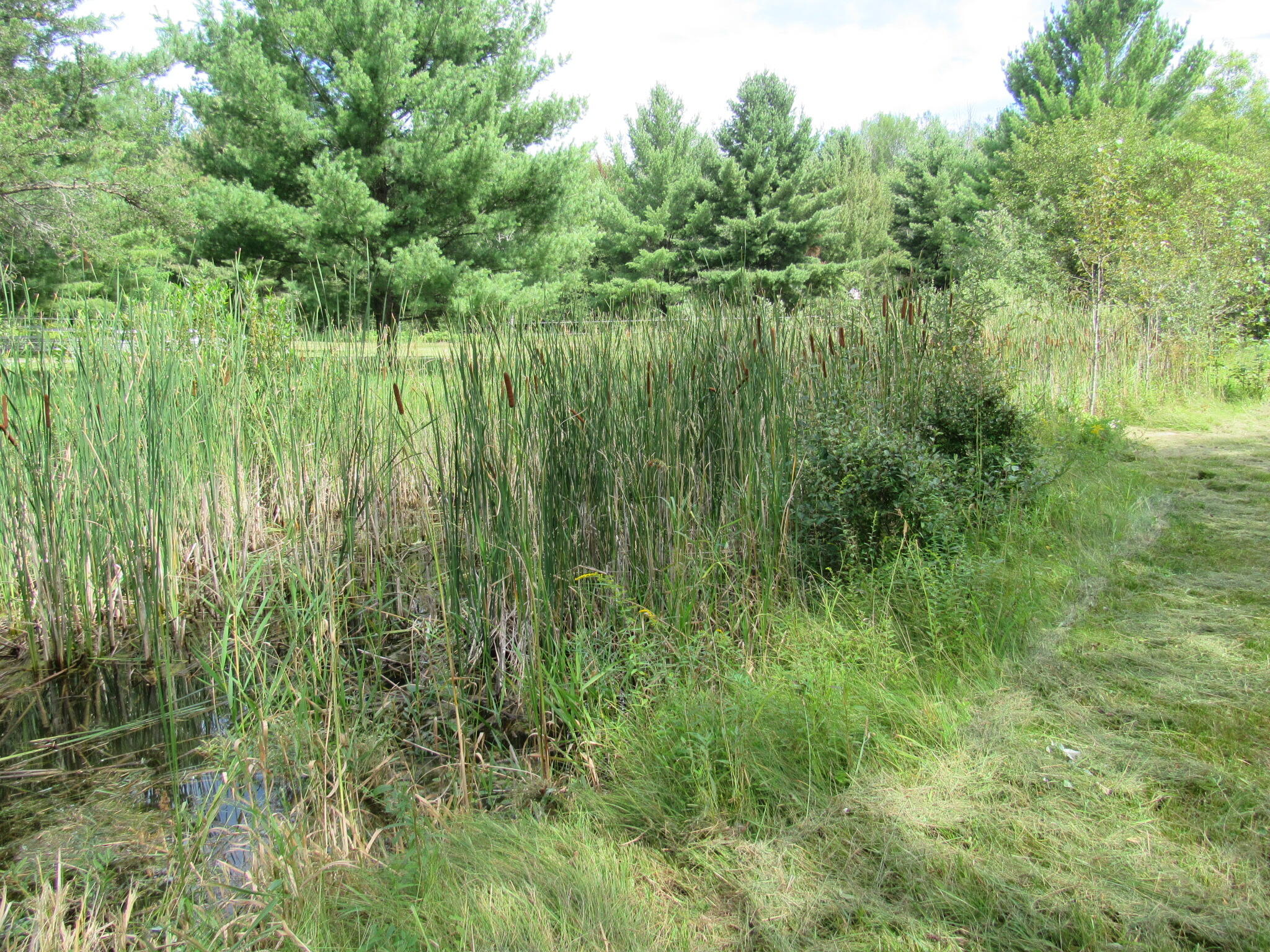 8876 Chase Bridge Road Roscommon, MI 48653 - Photo 50 of 56 Gallery Image 50