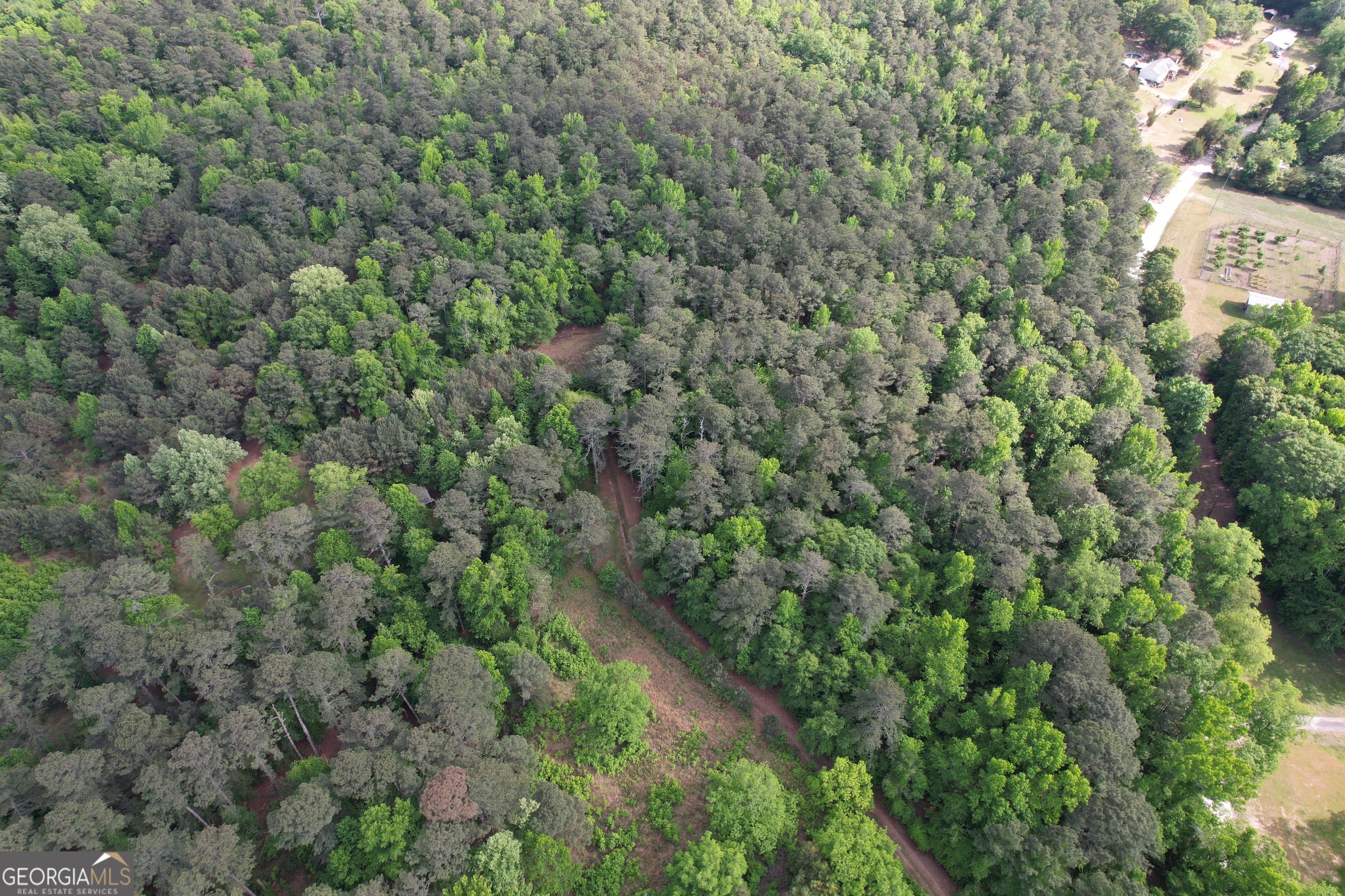 339 Oliver Road Meansville, GA 30256 - Photo 12 of 40 a view of a forest with a street