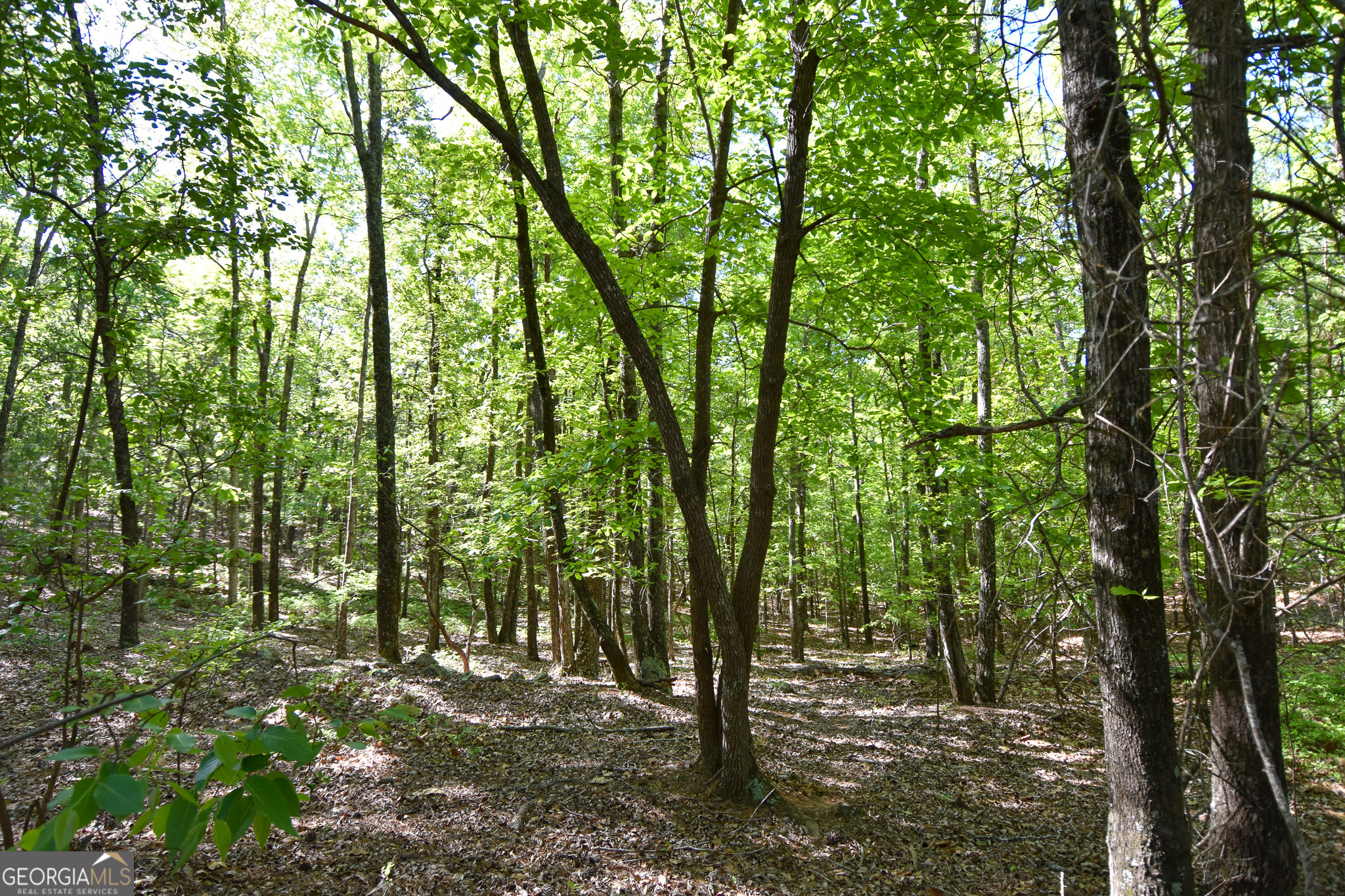 339 Oliver Road Meansville, GA 30256 - Photo 20 of 40 a view of outdoor space and green space