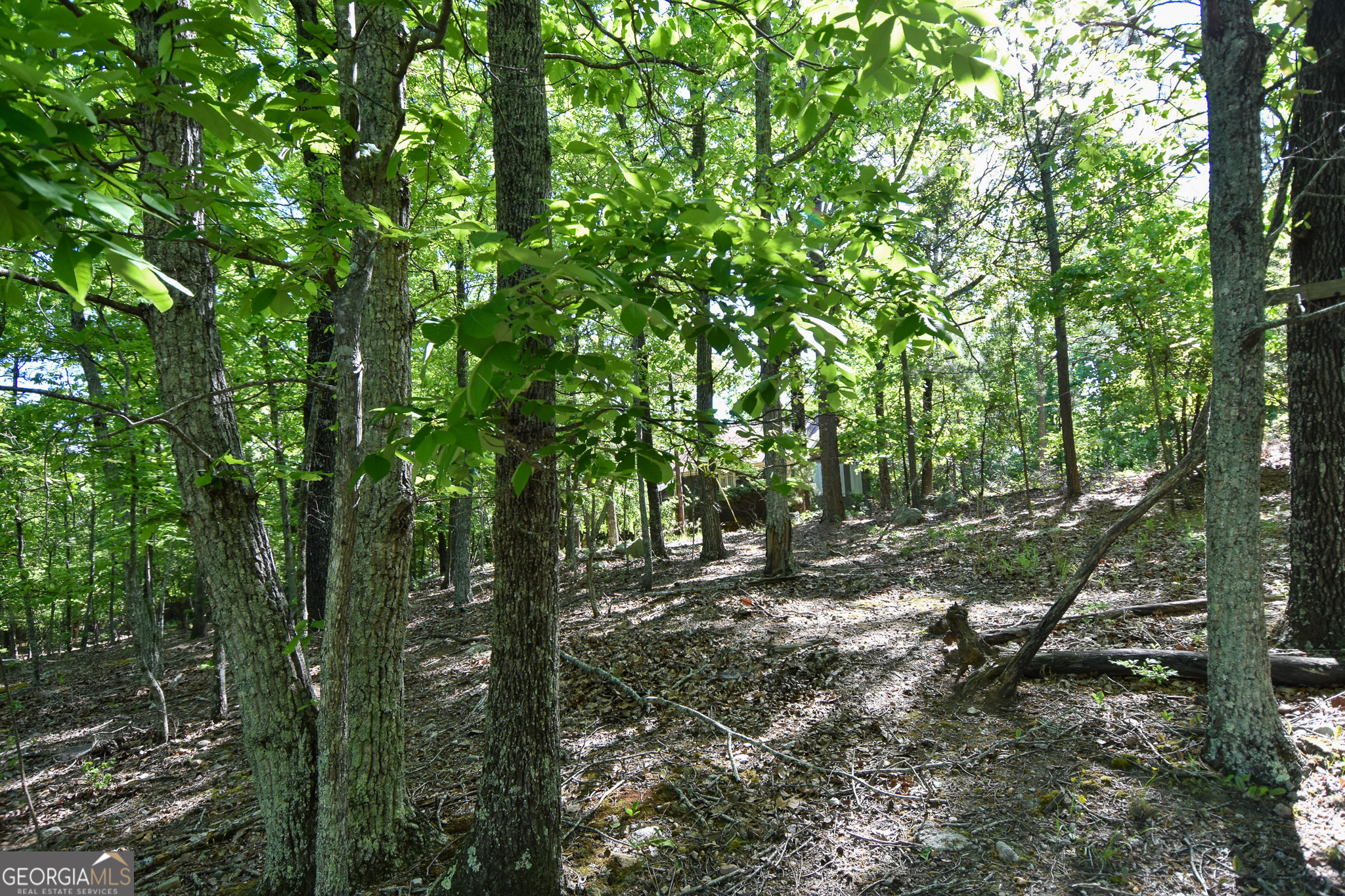 339 Oliver Road Meansville, GA 30256 - Photo 22 of 40 a view of a forest with trees