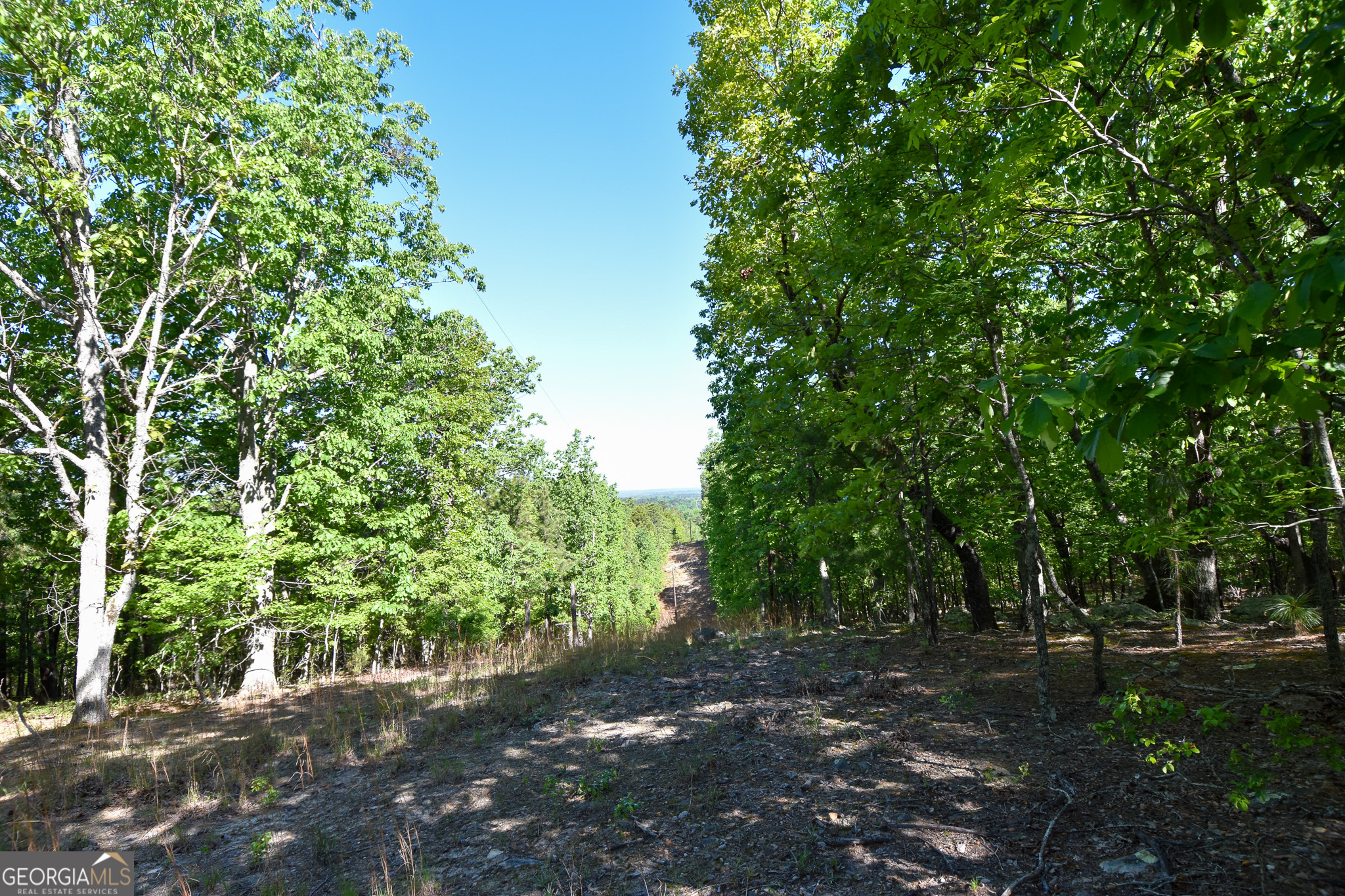 339 Oliver Road Meansville, GA 30256 - Photo 23 of 40 a pathway of a yard
