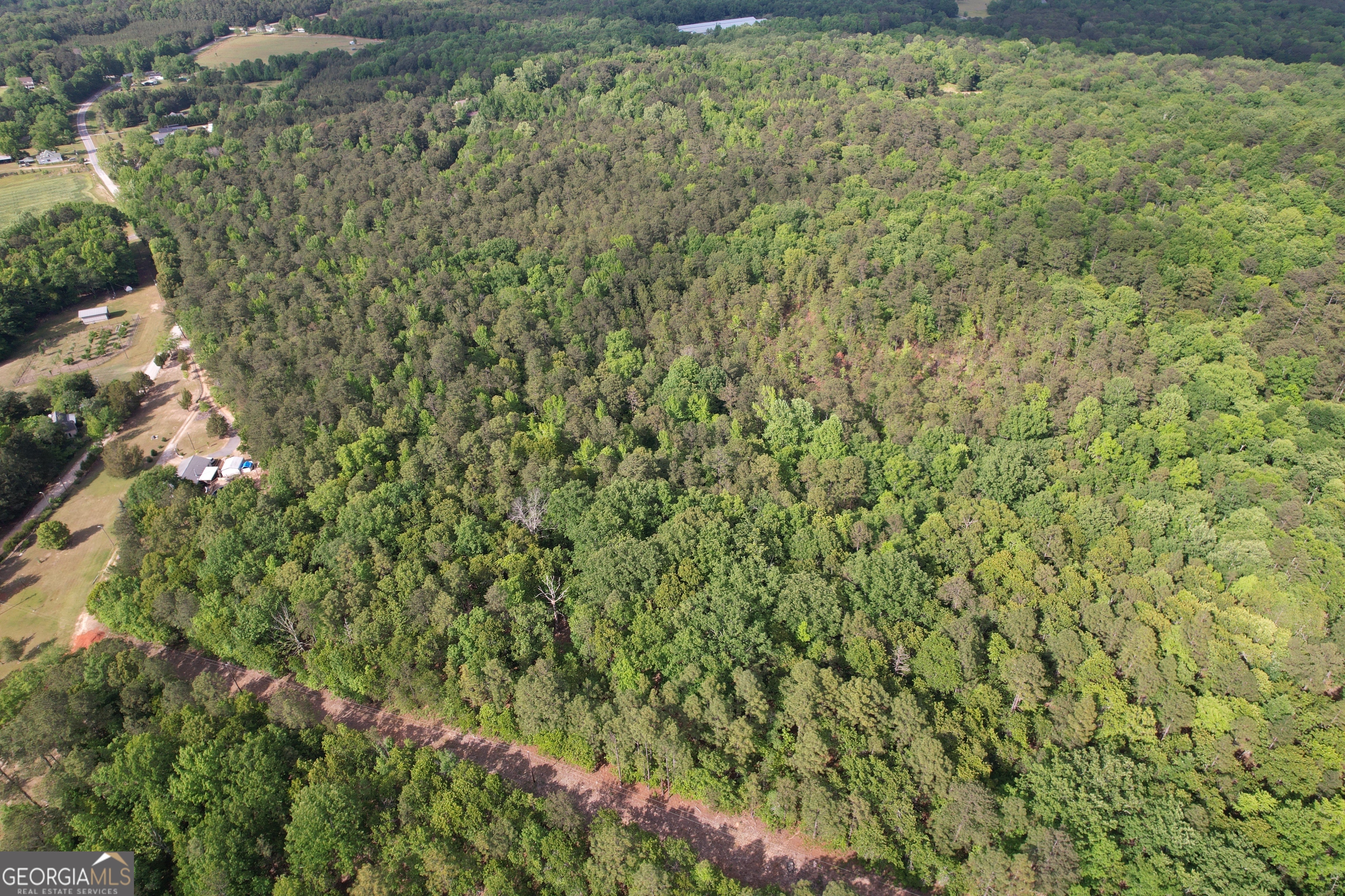 339 Oliver Road Meansville, GA 30256 - Photo 5 of 40 a view of a yard with a tree