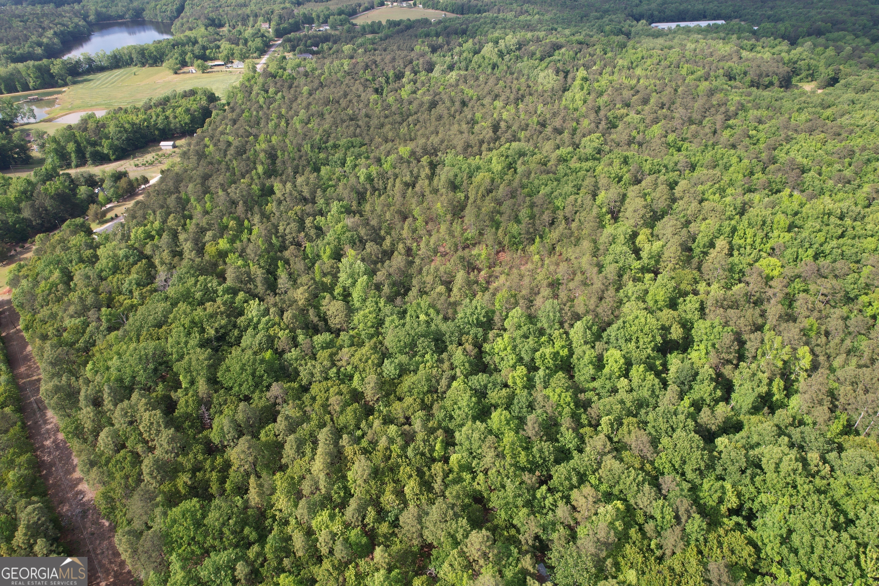 339 Oliver Road Meansville, GA 30256 - Photo 6 of 40 a view of a lush green field