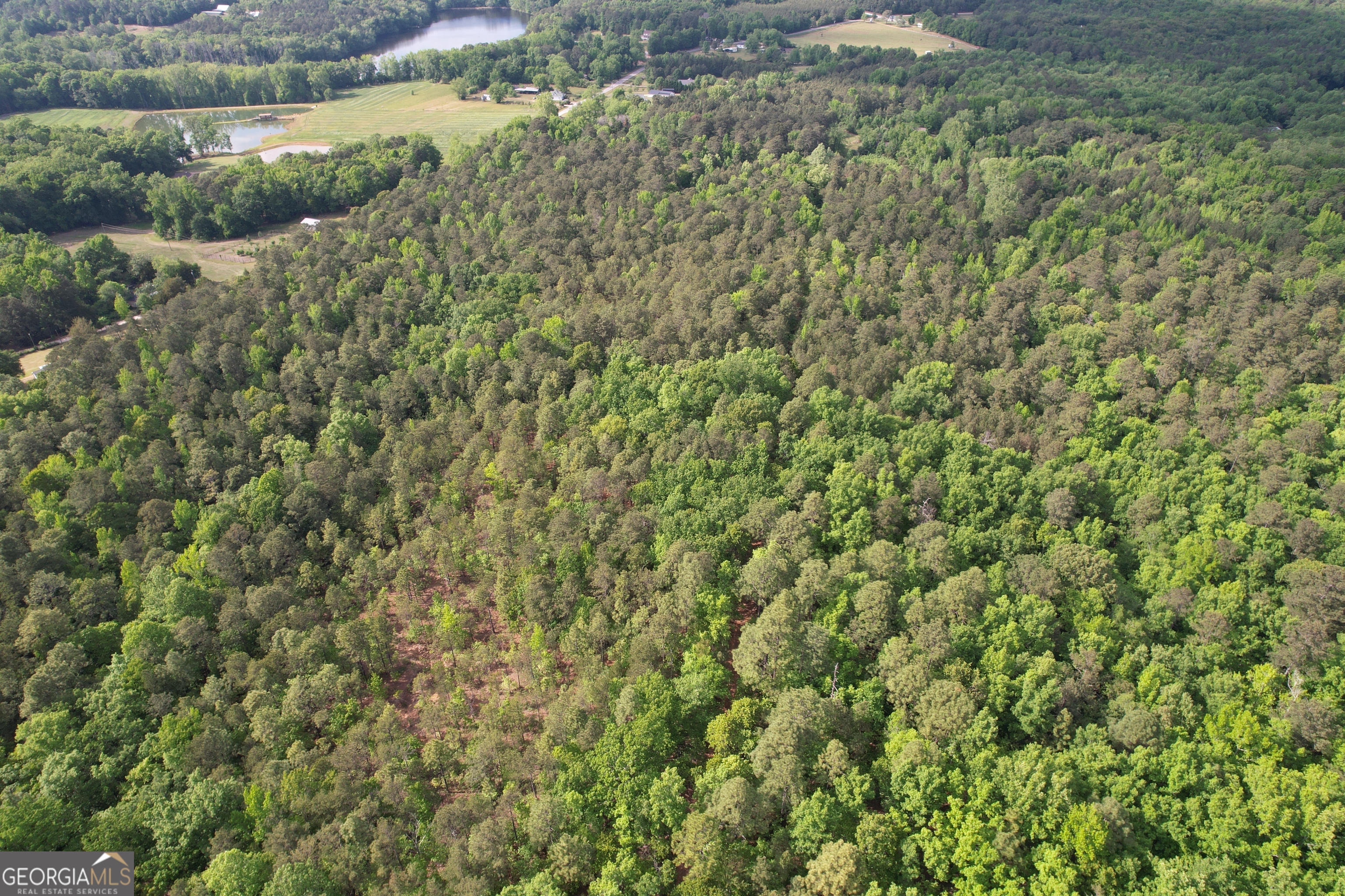 339 Oliver Road Meansville, GA 30256 - Photo 8 of 40 a view of a field of grass and trees