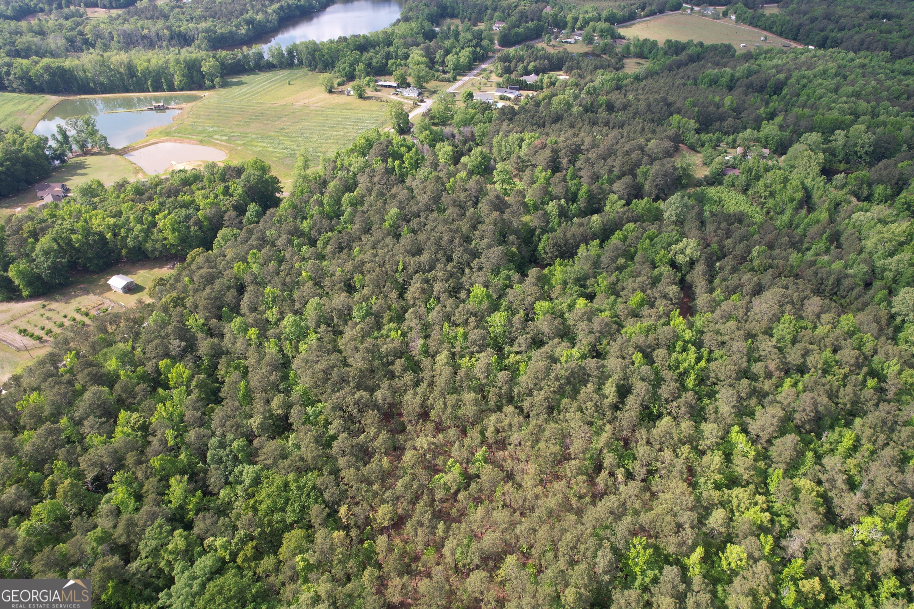 339 Oliver Road Meansville, GA 30256 - Photo 9 of 40 an aerial view of a houses with yard and lake view