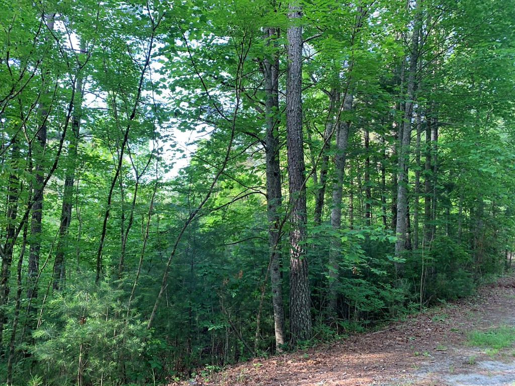 Lot 43 Kestrel Ridge Circle Murphy, NC 28906 - Photo 8 of 24 Gallery Image 8