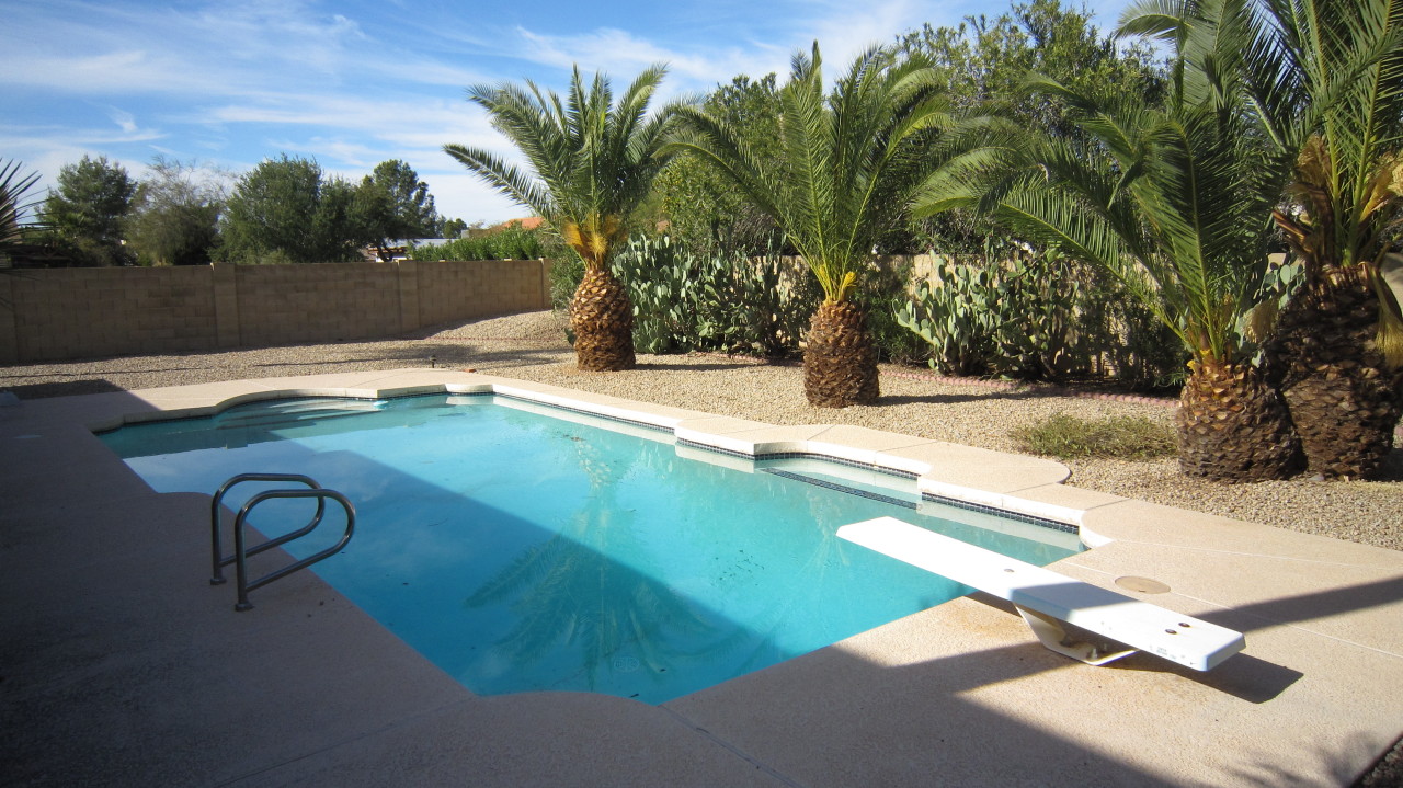 4334 East Decatur Street Mesa, AZ 85205 - Photo 1 of 37 Beautiful Diving Pool