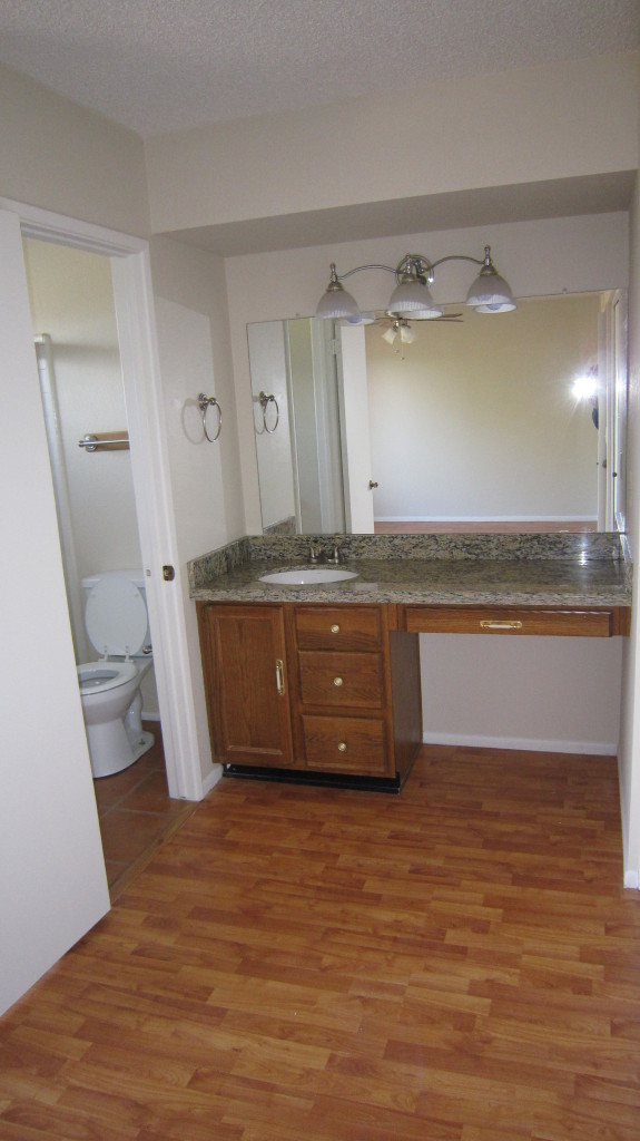 4334 East Decatur Street Mesa, AZ 85205 - Photo 23 of 37 Master Vanity w/ New Granite
