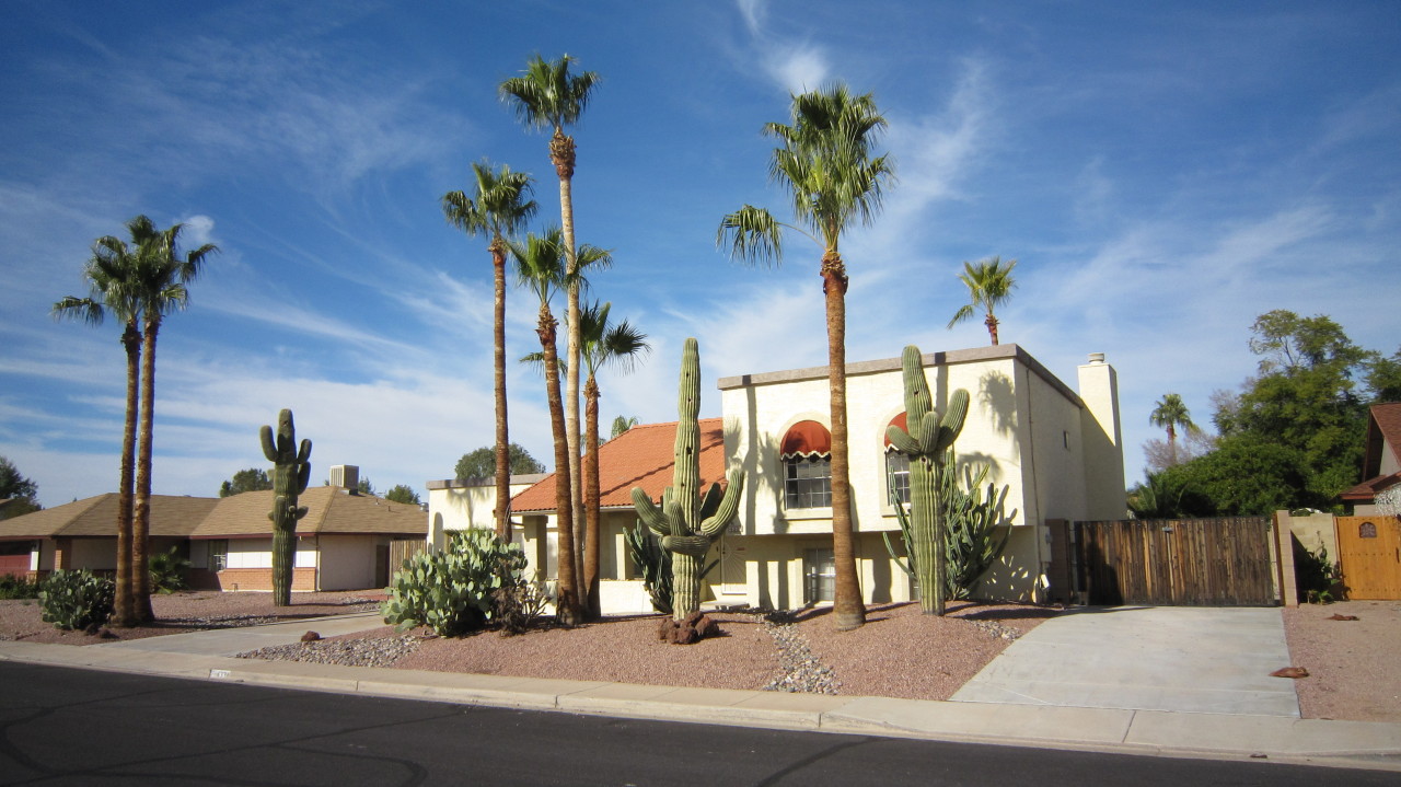 4334 East Decatur Street Mesa, AZ 85205 - Photo 3 of 37 Front Yard w/ Mature Desert Landscaping