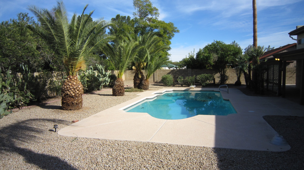 4334 East Decatur Street Mesa, AZ 85205 - Photo 32 of 37 Mature Landscaped Backyard w/ Pool