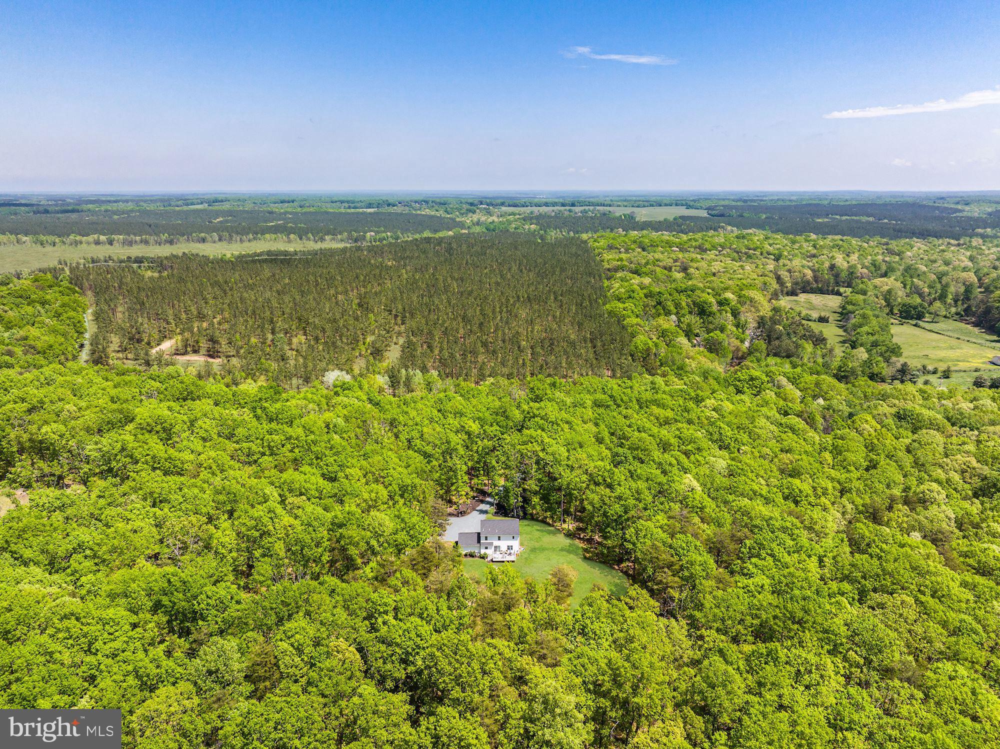 845 Raccoon Ridge Scottsville, VA 24590 - Photo 12 of 22