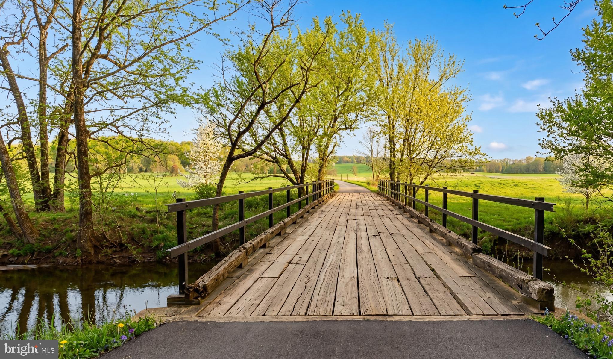 845 Raccoon Ridge Scottsville, VA 24590 - Photo 2 of 22 Private bridge crossing