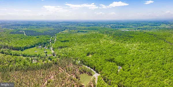 a view of a green field with lots of bushes