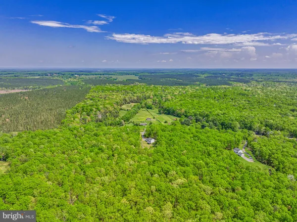 a view of a yard with an empty space and a yard