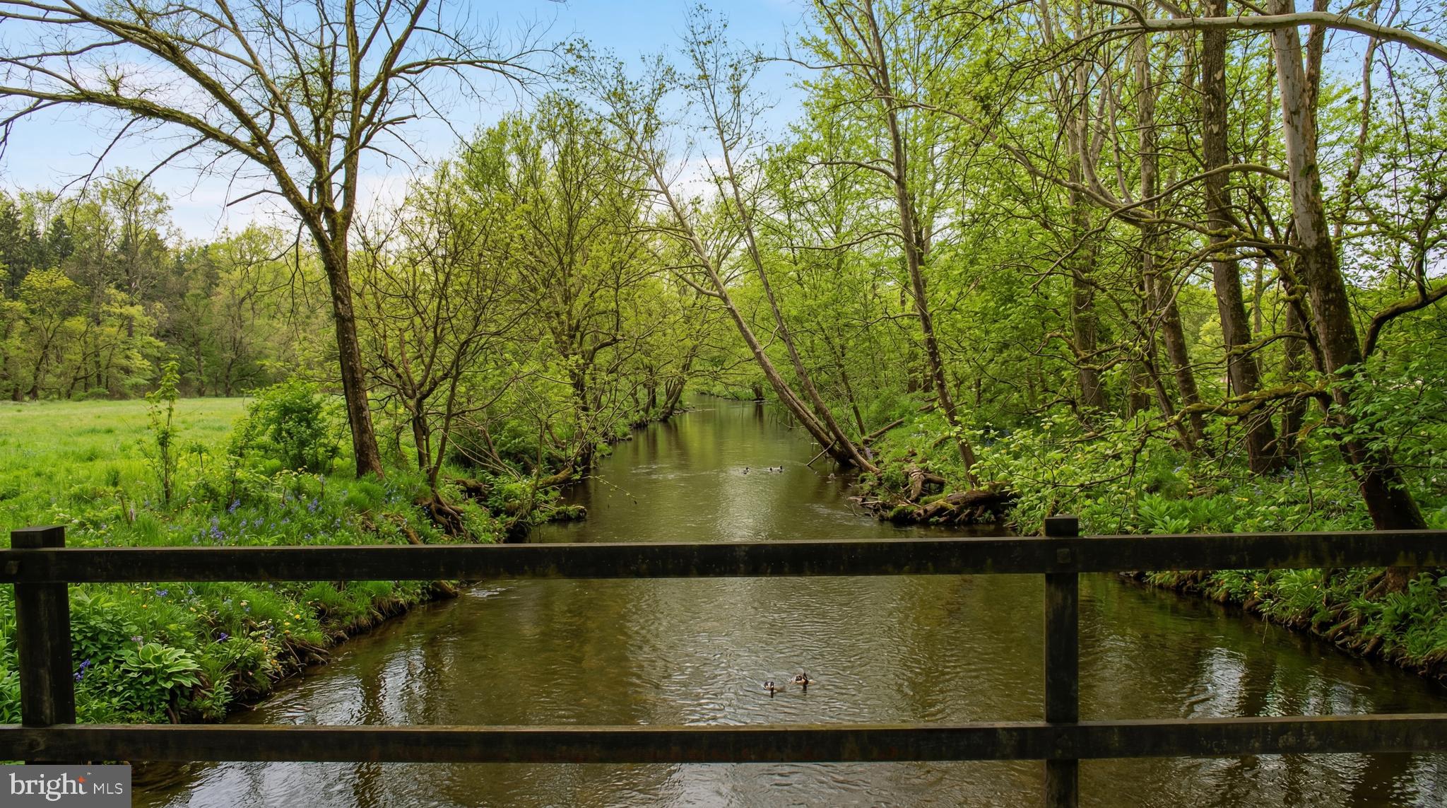 845 Raccoon Ridge Scottsville, VA 24590 - Photo 3 of 22 Set along the Hardware River