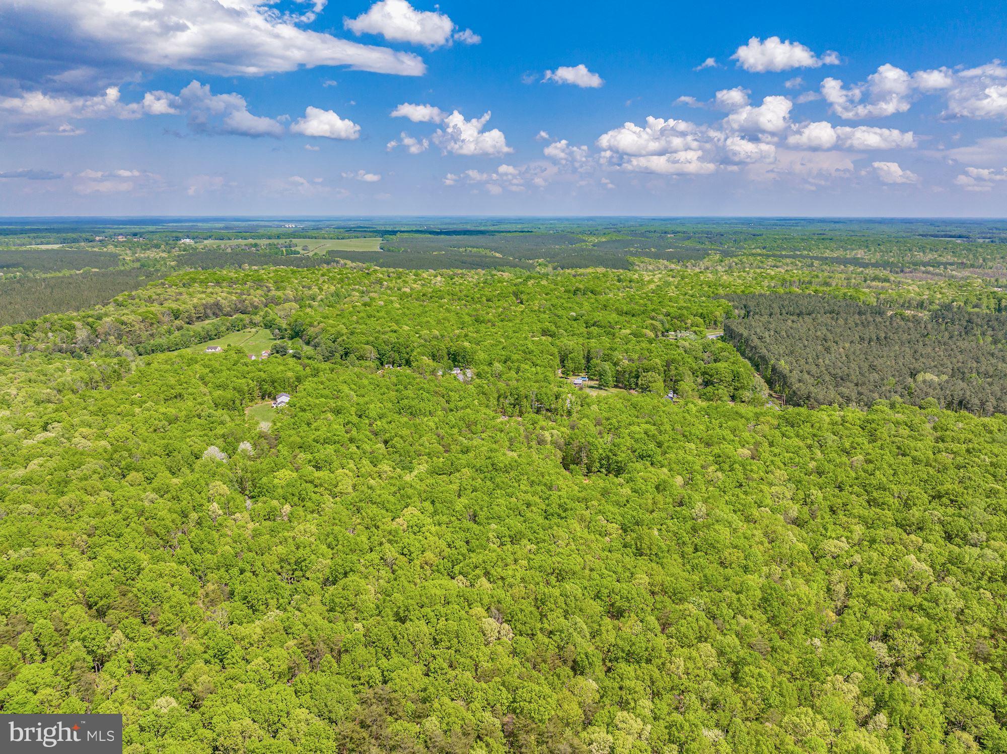 845 Raccoon Ridge Scottsville, VA 24590 - Photo 6 of 22