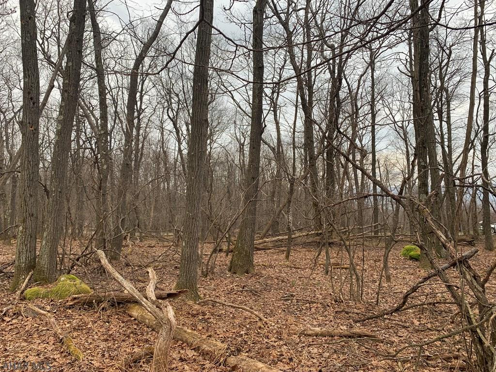 Lot 150 Shawnee View Road Central City, PA 15926 - Photo 12 of 23 Gallery Image 12