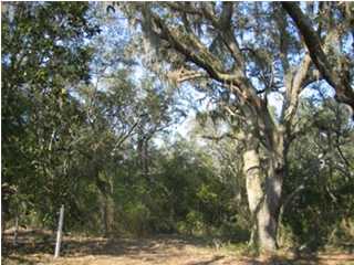 1 East Bay Loop Road Freeport, FL 32439 - Photo 1 of 2 Primary Photo