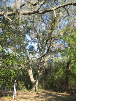 1 East Bay Loop Road Freeport, FL 32439 - Photo 2 of 2 Additional Photo