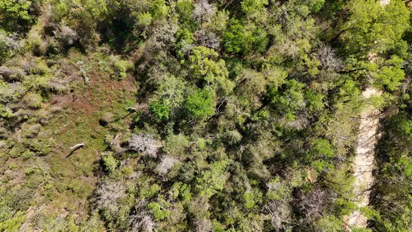 $584,350 | Vacant Attatulga Road, Lamont, FL 32336