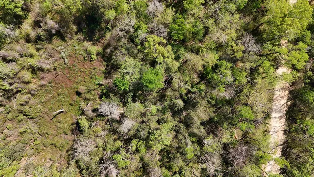 $584,350 | Vacant Attatulga Road, Lamont, FL 32336