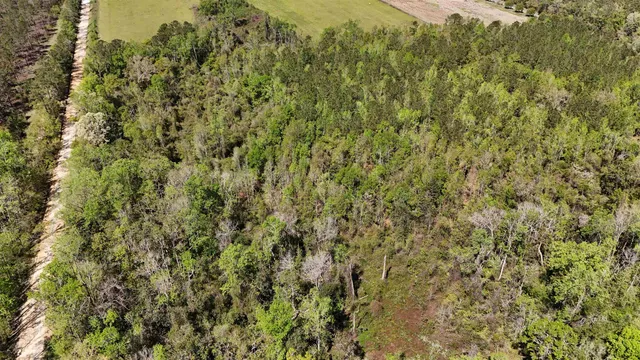 $584,350 | Vacant Attatulga Road, Lamont, FL 32336