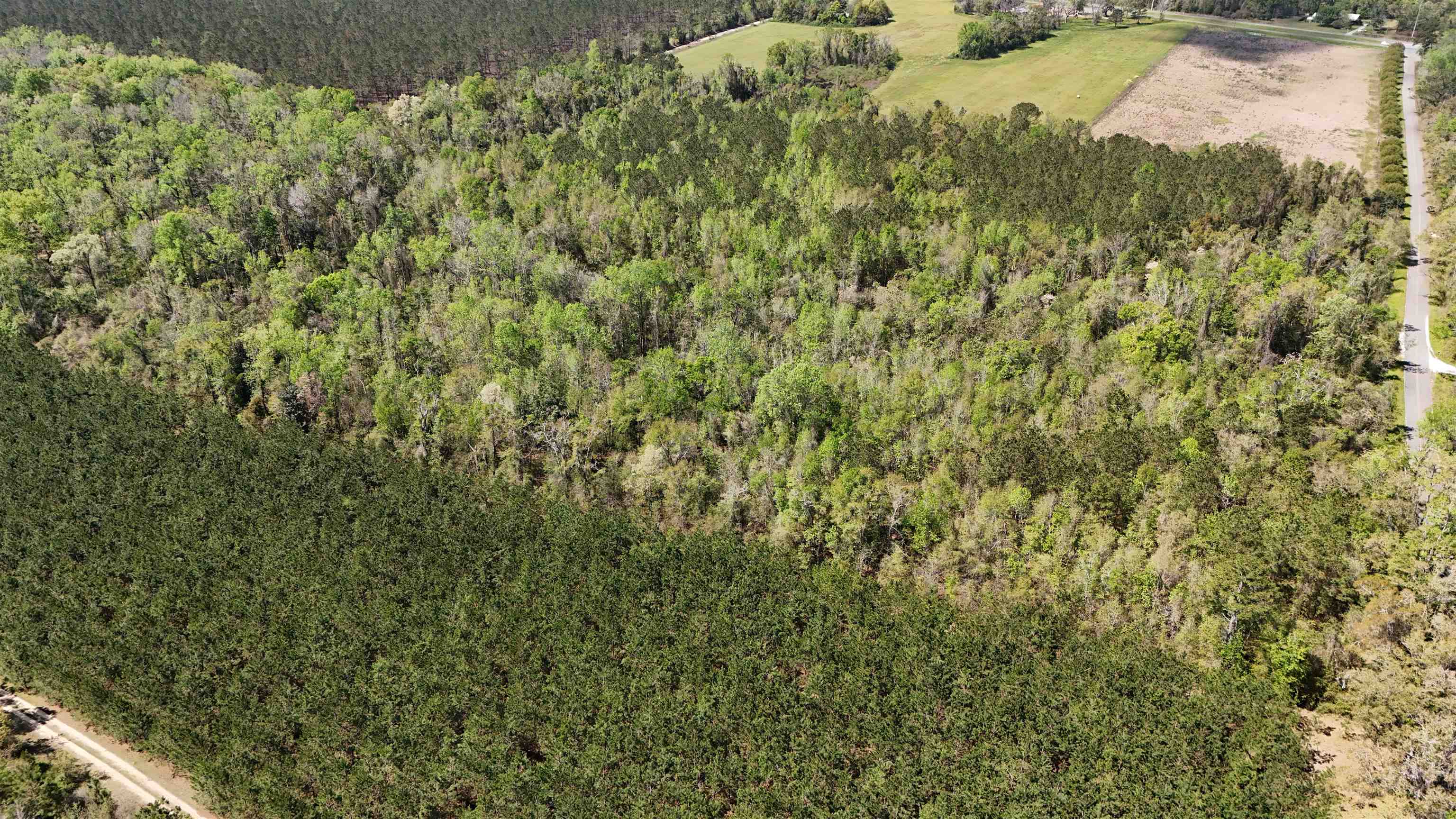 Vacant Attatulga Road Lamont, FL 32336 - Photo 2 of 13