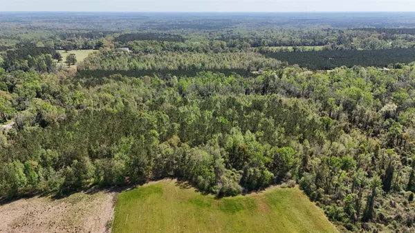 $584,350 | Vacant Attatulga Road, Lamont, FL 32336