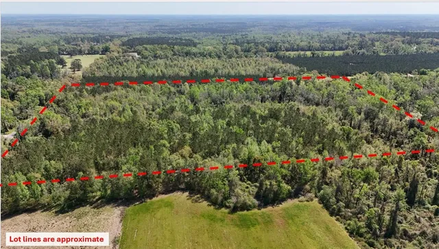 $584,350 | Vacant Attatulga Road, Lamont, FL 32336