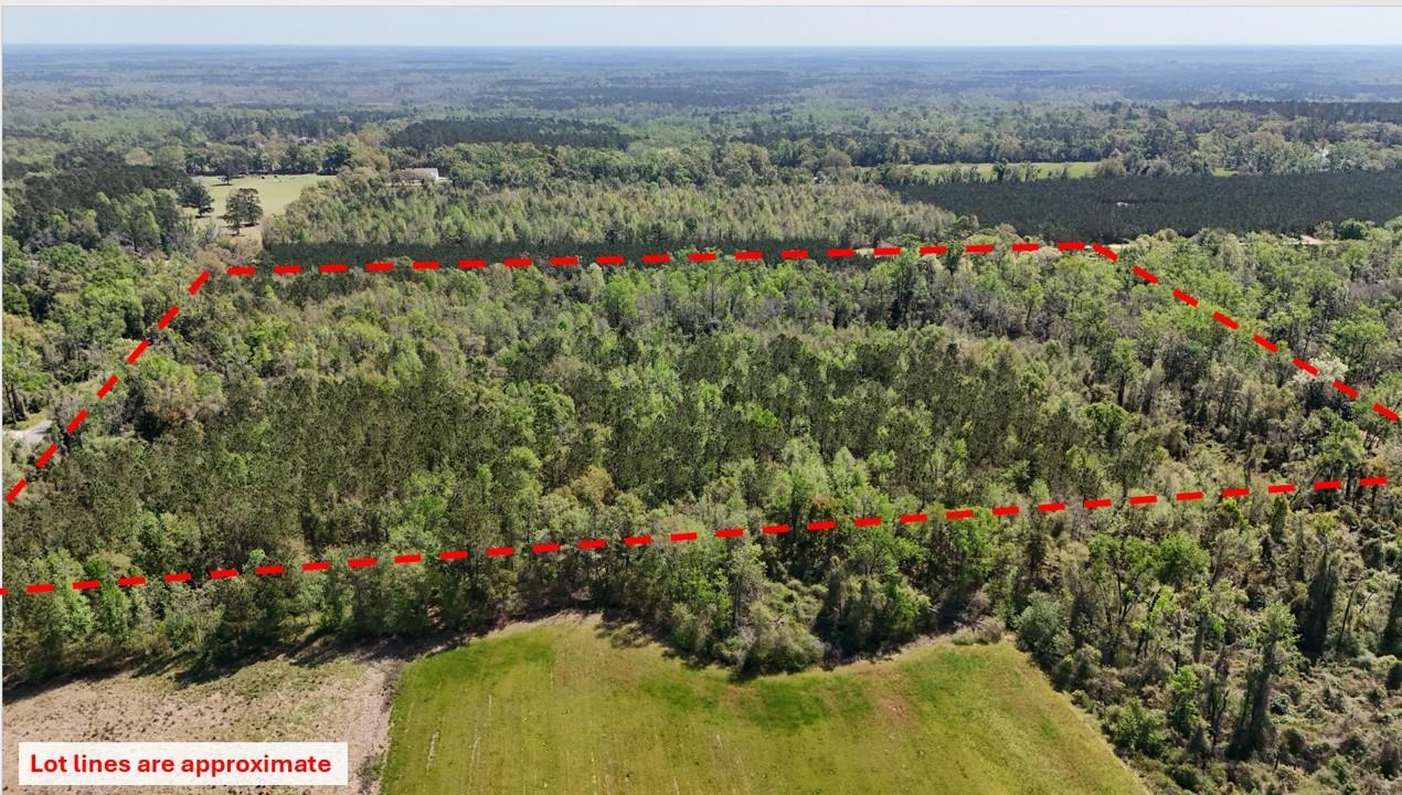 Vacant Attatulga Road Lamont, FL 32336 - Photo 5 of 13