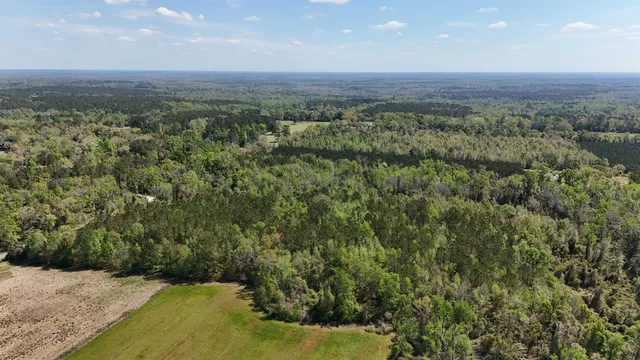 $584,350 | Vacant Attatulga Road, Lamont, FL 32336