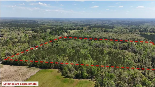 $584,350 | Vacant Attatulga Road, Lamont, FL 32336
