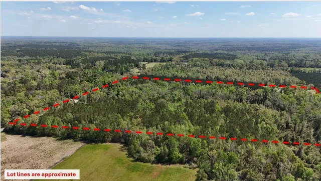 $584,350 | Vacant Attatulga Road, Lamont, FL 32336
