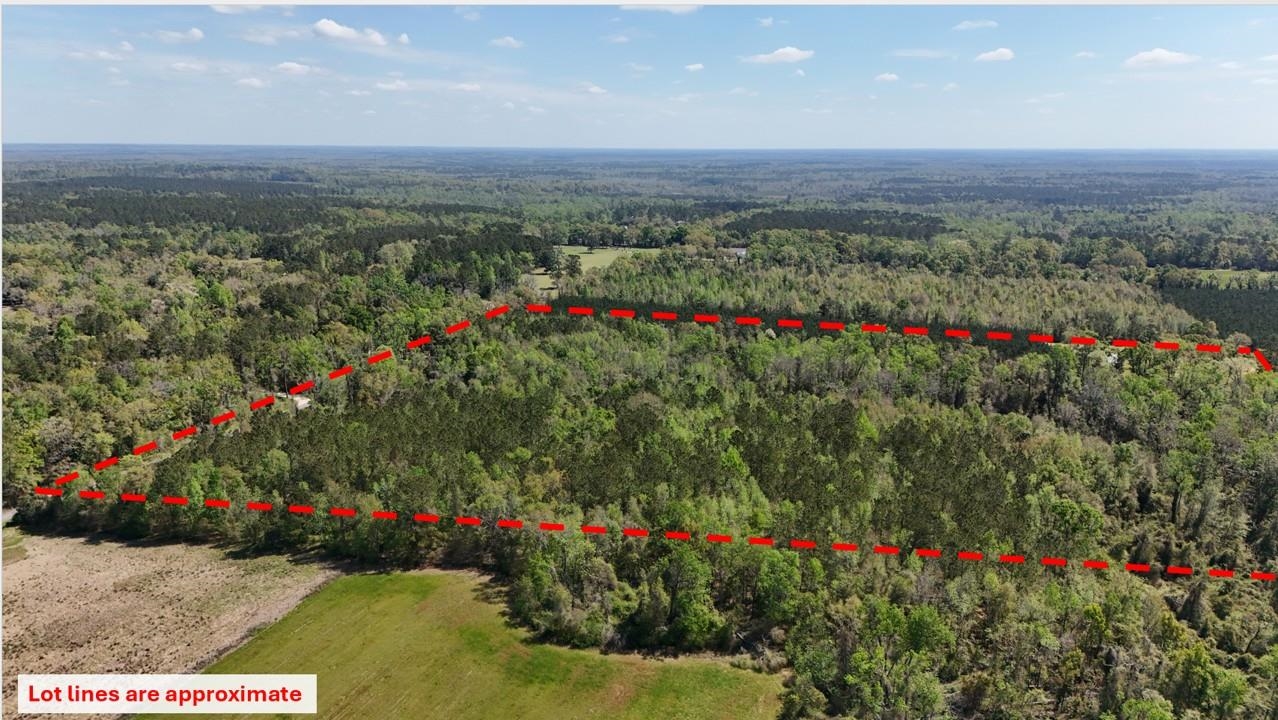 Vacant Attatulga Road Lamont, FL 32336 - Photo 7 of 13