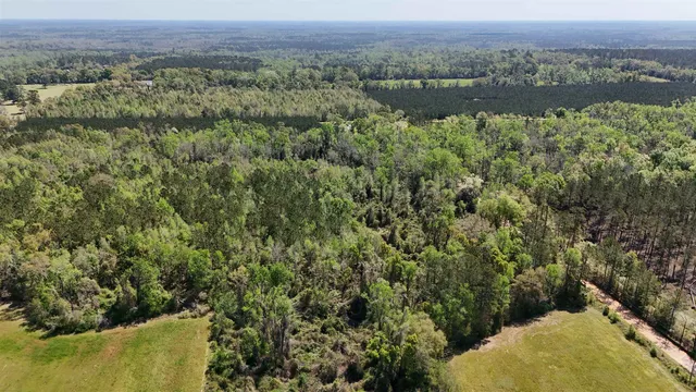$584,350 | Vacant Attatulga Road, Lamont, FL 32336