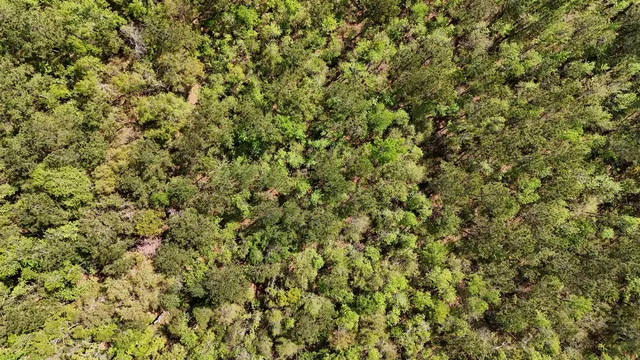 $584,350 | Vacant Attatulga Road, Lamont, FL 32336