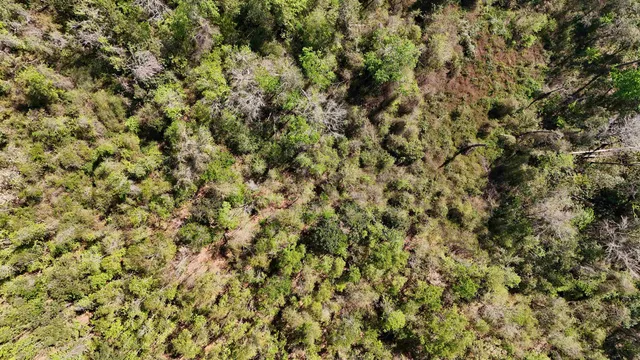 $584,350 | Vacant Attatulga Road, Lamont, FL 32336