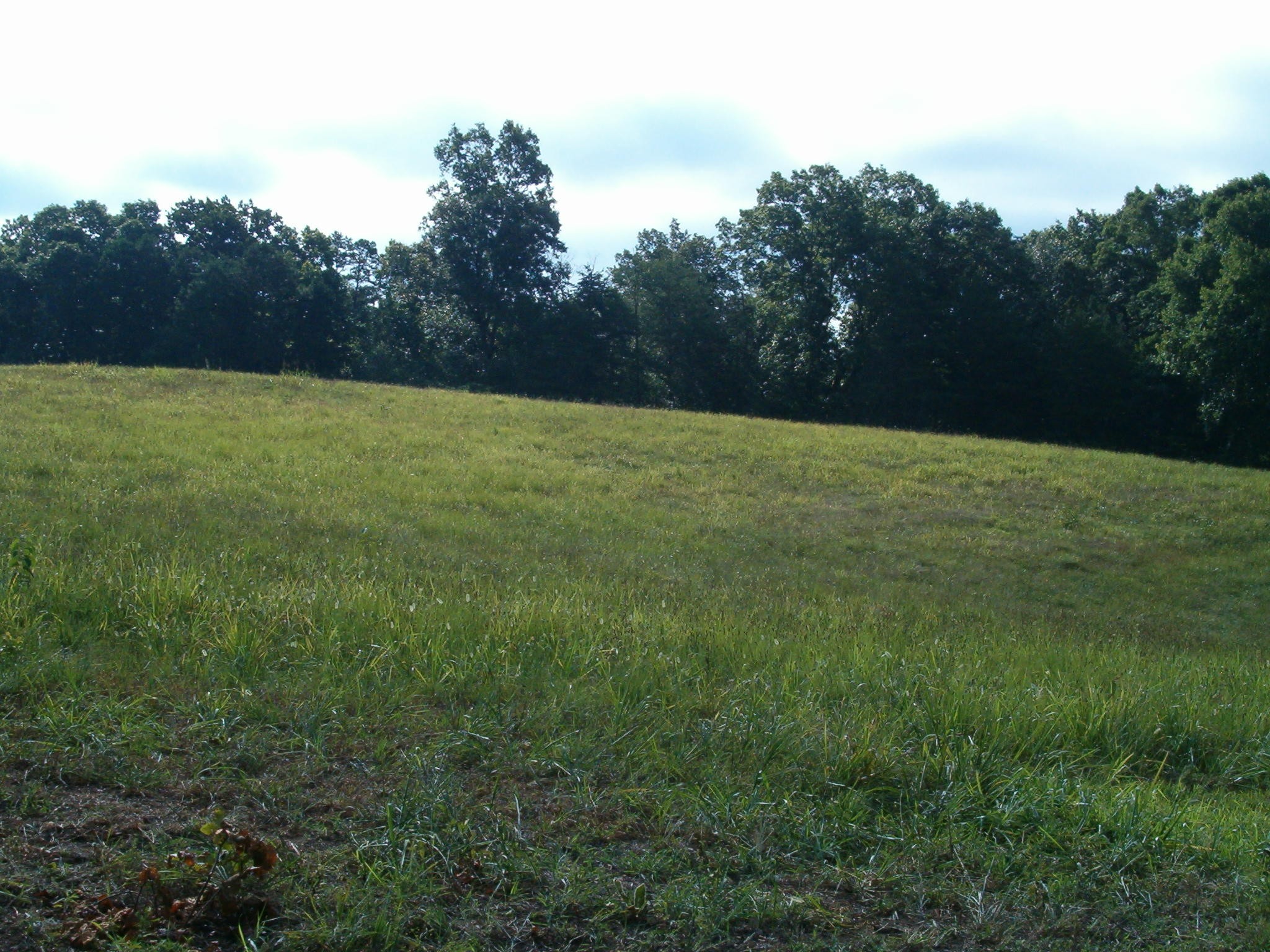 230 Pattie Gap Road Philadelphia, TN 37846 - Photo 5 of 23 Gallery Image 5