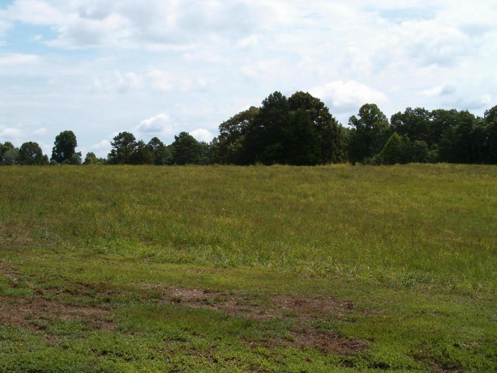230 Pattie Gap Road Philadelphia, TN 37846 - Photo 6 of 23 Gallery Image 6