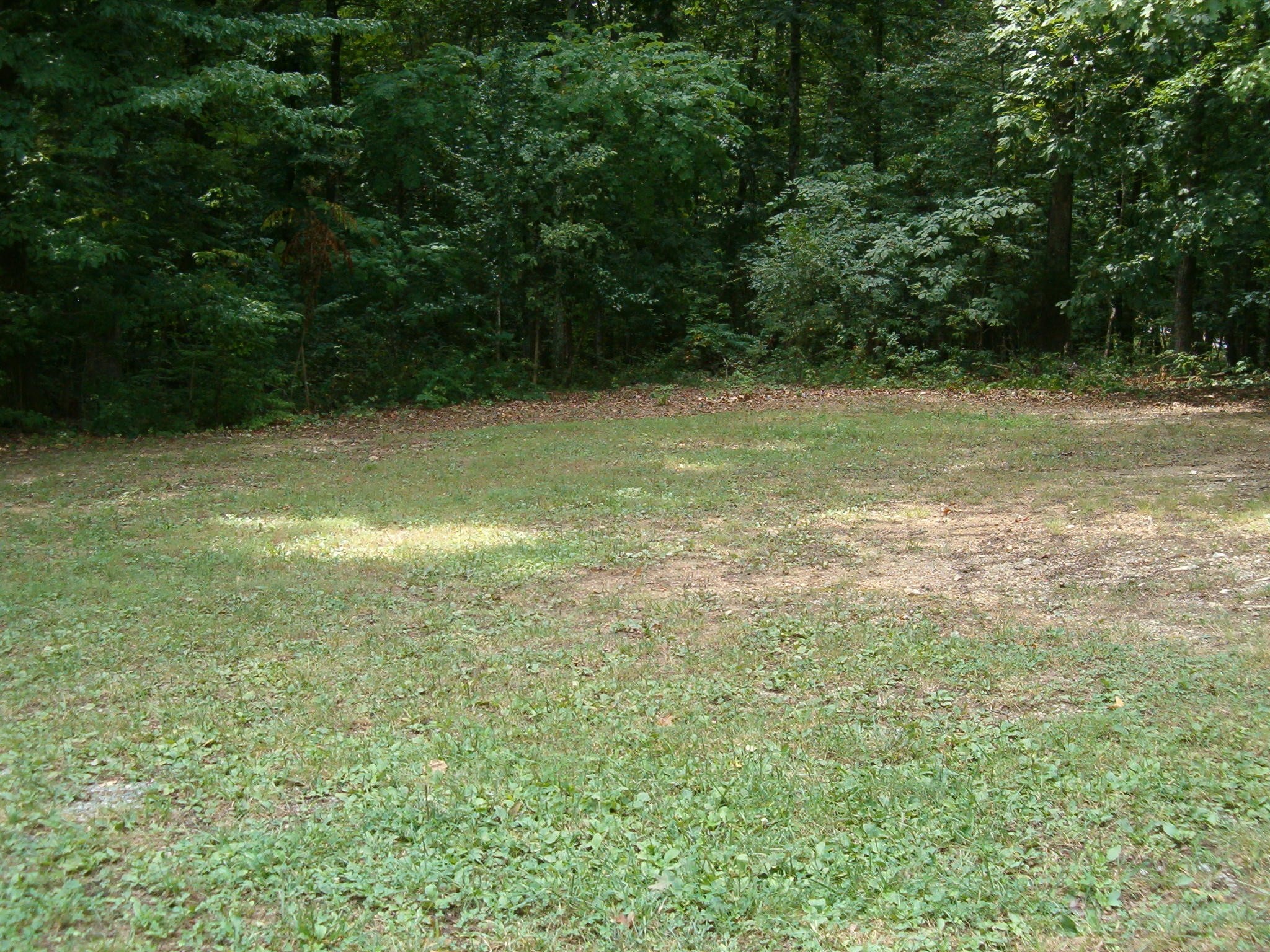 230 Pattie Gap Road Philadelphia, TN 37846 - Photo 9 of 23 Gallery Image 9