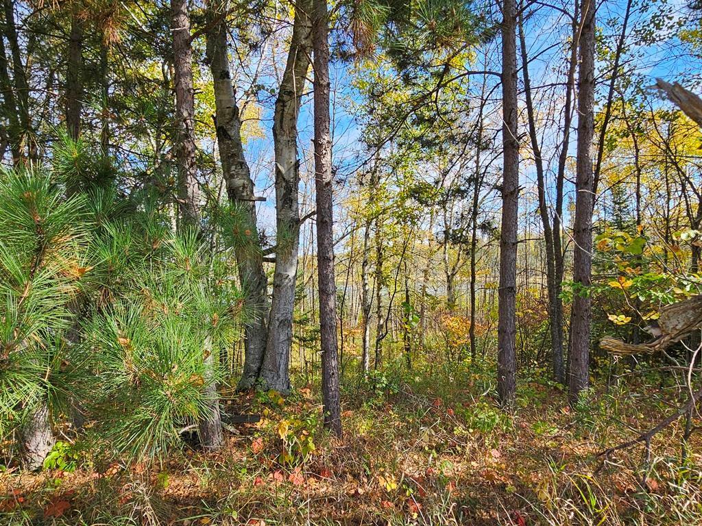 1 County Road Deer River, MN 56636 - Photo 10 of 18