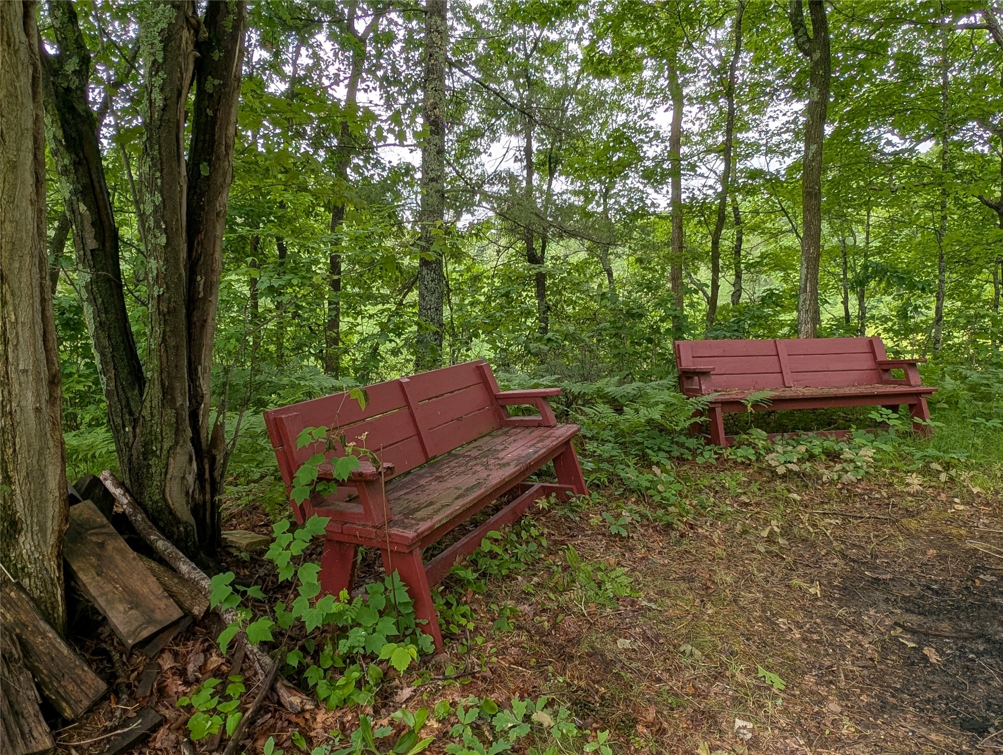 N131 Dalen Road Birchwood, WI 54817 - Photo 46 of 53