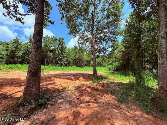 10508 Kokomo Road Kokomo, MS 39643 - Photo 7 of 23 IMG_0291