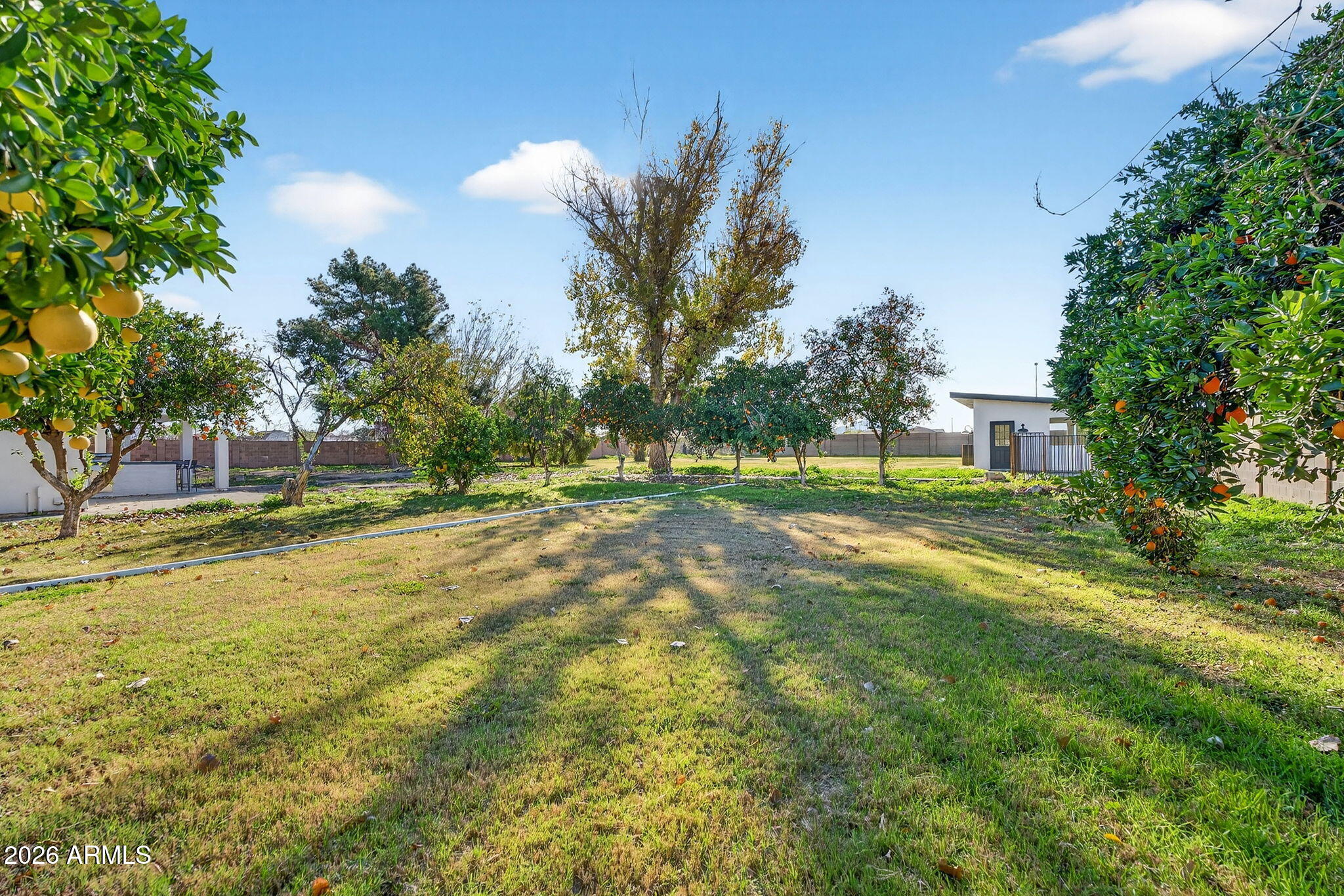 2223 East Claxton Avenue Gilbert, AZ 85297 - Photo 51 of 56 a view of a house with a yard