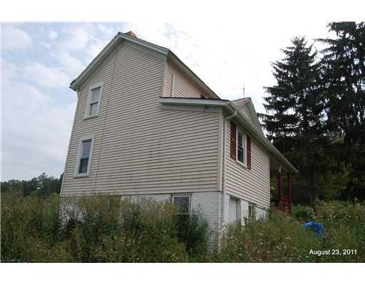 380 Taffy Run Road New Brighton, PA 15066 - Photo 4 of 18 Other. Rear view main farm house