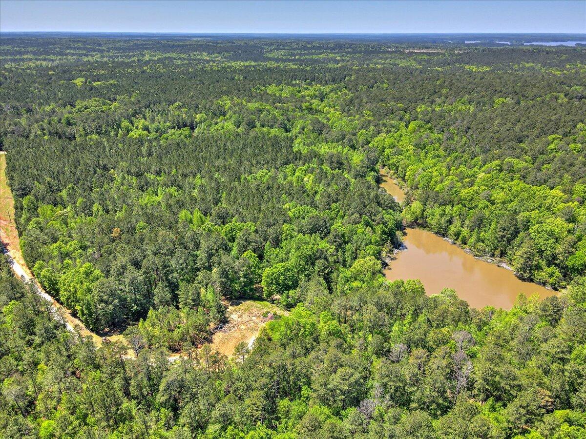7265 Moontown Road Appling, GA 30802 - Photo 3 of 14 03-103