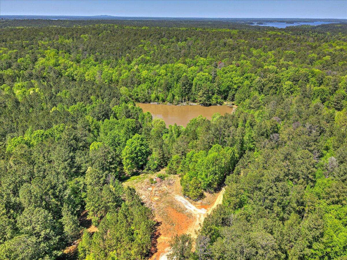 7265 Moontown Road Appling, GA 30802 - Photo 4 of 14 04-104