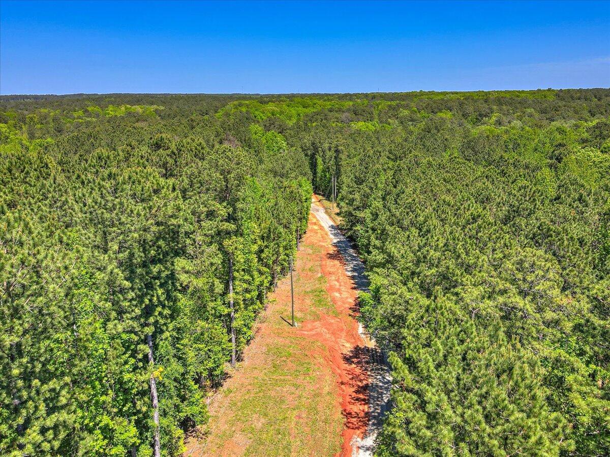7265 Moontown Road Appling, GA 30802 - Photo 7 of 14 07-109