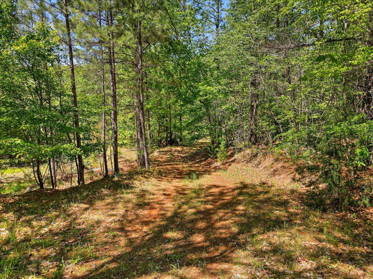 7265 Moontown Road Appling, GA 30802 - Photo 8 of 14 08-110